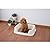 Iris Ohyama, Training pad holder / training tray with sides, no splashing, grid for dry paws, 2 latch closure, non-skid rubber feet, holds pad 60 x 45 cm, for puppy & dog - Dog Toilet TRT-650 - Grey