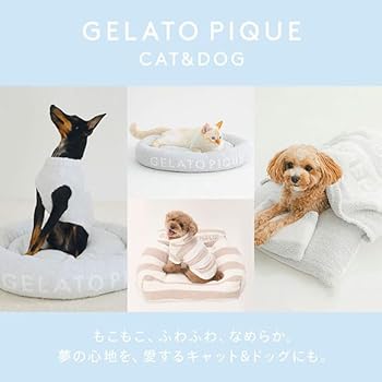 【新品】ジェラートピケ 【CAT＆DOG】ベアモチーフドライブベッド gelato pique（ジェラートピケ）【CAT&DOG】【販路限定商品