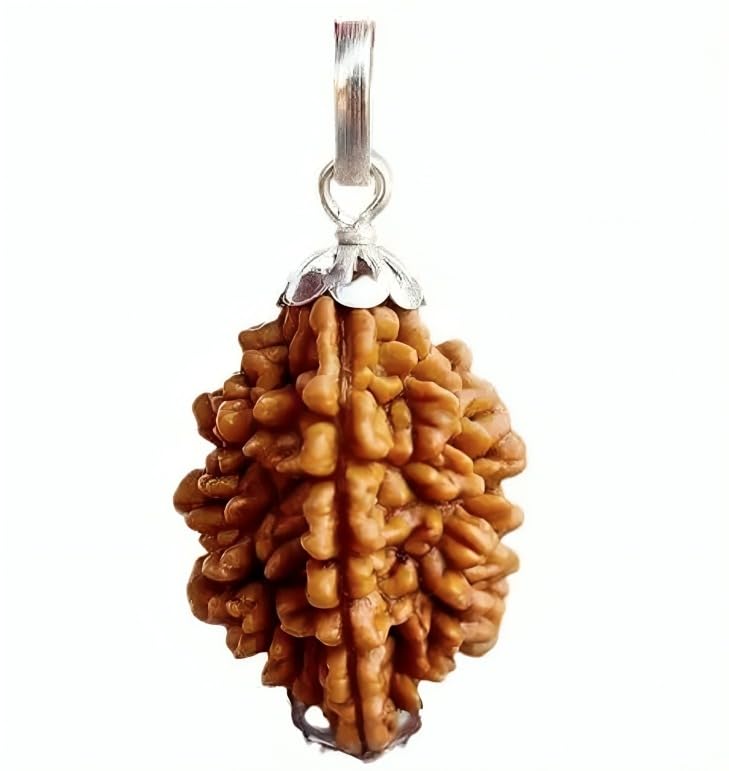 Natural 2 Mukhi Rudraksha Silver Studded (B0DH39NSJD) Amazon Price History, Amazon Price Tracker