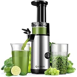 Extractor De Jugo De Zanahoria GDOR Licuadora Prensado En Frio Potente Juicer Juicer Machine Fácil de Limpiar Extractor de Jugo Compacto con Alto Rendimiento de Jugo, Vaso de Jugo de 600 ml, Cepillo Incluido, Sin BPA, Plateado