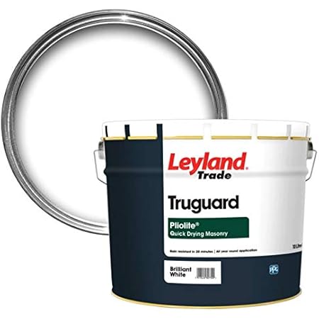 Armstead Trade Pliolite Masonry Paint Brilliant White 5 Litres Amazon Co Uk Diy Tools