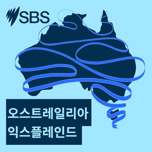 A guide to fuel types in Australia | Fuel in Focus - 오스트레일리아 익스플레인드: 연료별 특징 이해하기 | 에너지 포커스