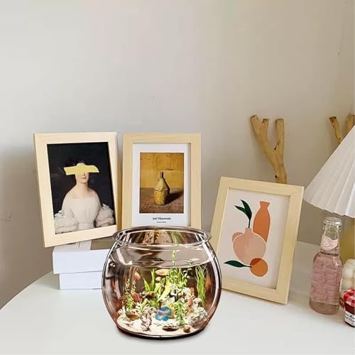 Noms Pour Poisson Combattant MÂLE & FEMELLE - PLUS DE 200 IDÉES