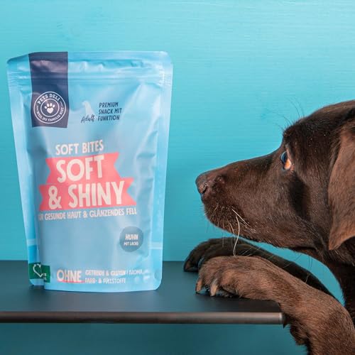 Pets Deli Probierpaket für Hunde mit verschiedenen Nassfuttersorten und Soft & Shiny Snacks - 3450g