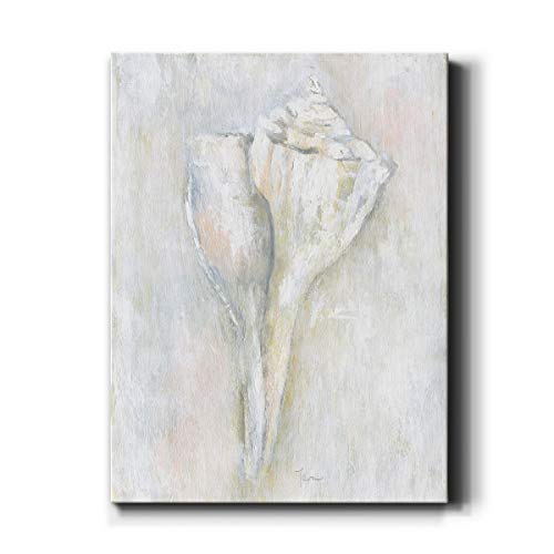 Renditions Gallery Soft Shell II Wall Art, Premium Gallery Wrapped Canvas Decor, Ready to Hang, 20 in H x 16 in W, Made in America Print