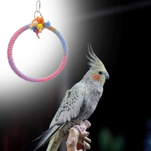 Baoblaze Suporte de balanço para pássaros, brinquedo pendurado, leve, multifuncional, brinquedo de m