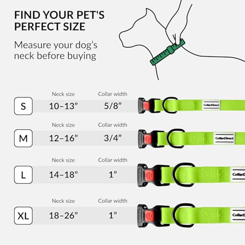 CollarDirect Wasserdichtes Hundehalsband – Verstellbar, Silikon & Kunststoff, geruchsresistent, leicht zu reinigen, mit Sicherheitsverschluss – für kleine bis große Hunde
