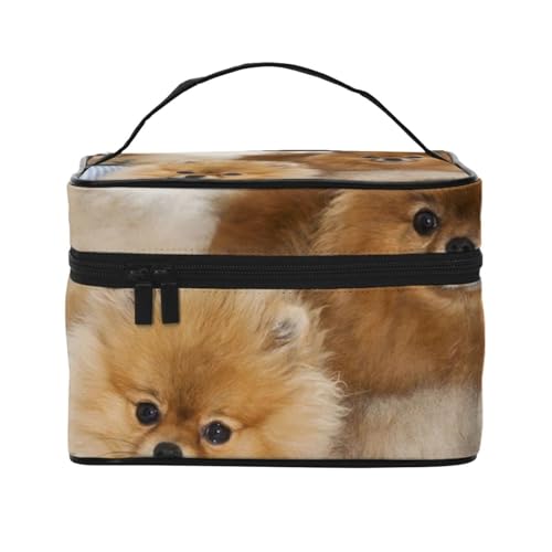 ꂽ 킢 |jA σ|[` e CN|[` ^ @\I e h  y o s |[` fB[X o @\I y Aj v[g