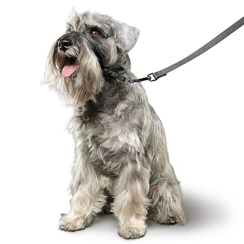 BEAPHAR - Gentle Leader® - Hundehalfter Für Kleine Rassen - Aus Nylon - Trainingshilfe Zur Kontrolle Und Führung - Von Tiertrainern Empfohlen - Größe S - Schwarz