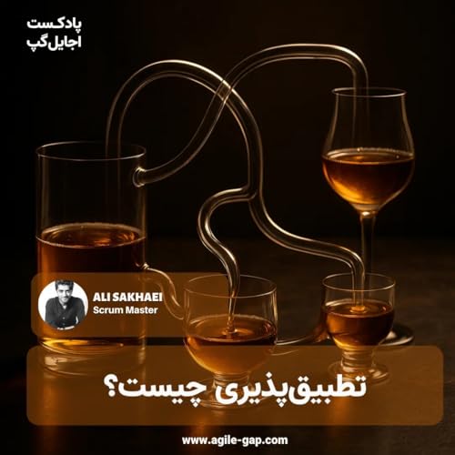 تطبیق&zwnj;پذیری چیست؟ با علی سخایی