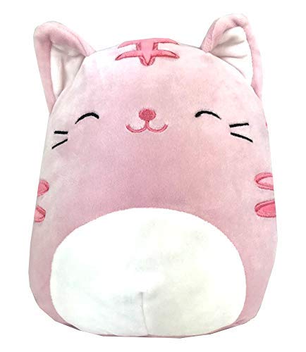 squishmallows cat pink