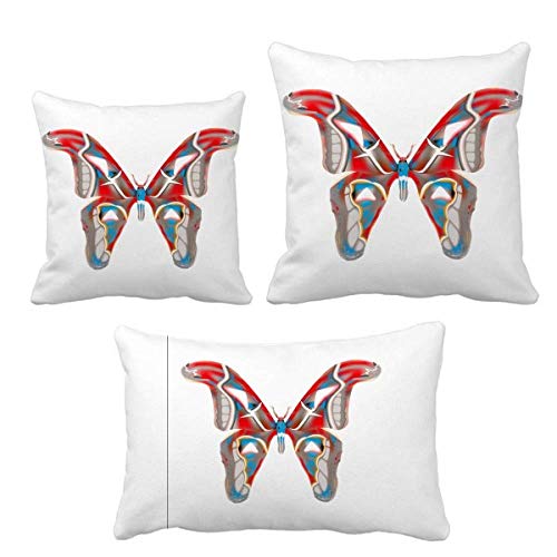 Coussin papillon 3D au design rouge et bleu vif pour salon