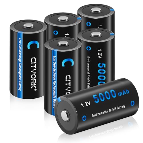 Piles rechargeables Ni-MH C CITYORK longévité supérieure et boîtier de protection rigide