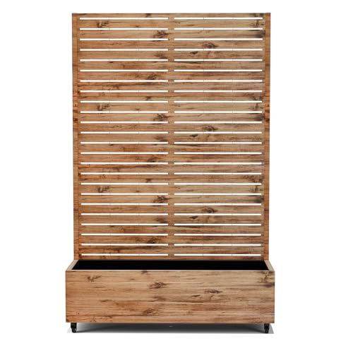 YESUNEED Raised Garden Bed with Trellis