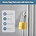 DELSWIN Weatherproof Padlock with Key (Keyed Alike) - Heavy Duty Solid Brass Locker Lock with 1-9/16