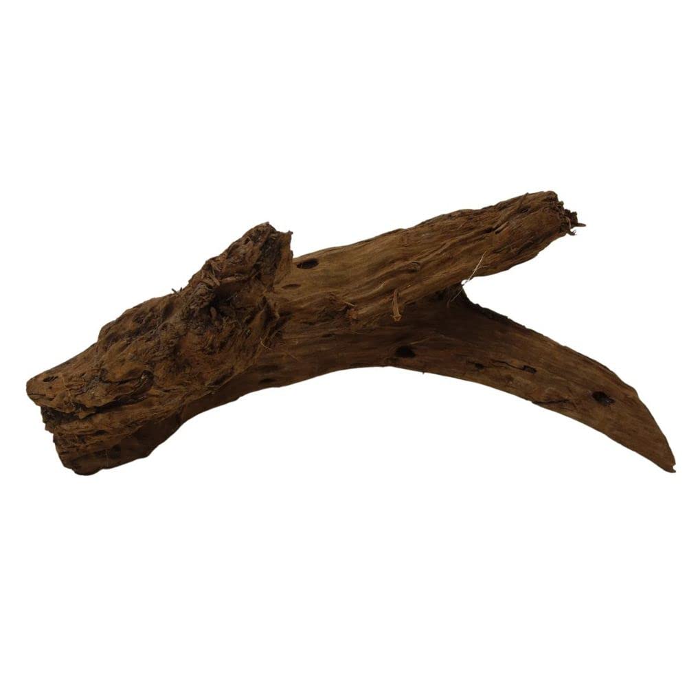 AquaOne Racine de mangrove - Taille XL - 1 pièce - 70-80 cm - Bois naturel - Décoration d'aquarium - Racine en bois véritable