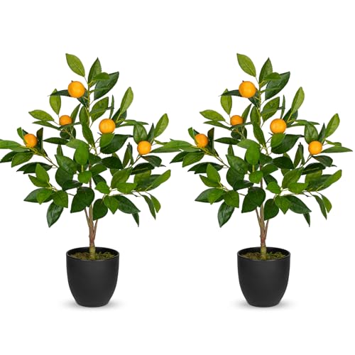 Hollyone 2PCS Artificial Orange Plant in Black Pot - 60CM Fake Potted Plants - Small Faux Orange Tree for Living Room, Kitchen, Bathroom, Home Decor, Office, Summer Decorations