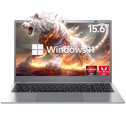 Laptop Computer, AMD 3020e (Up to 2.6GHz), 8GB DDR4 256GB SSD (Up to 32GB + 2TB), 15.6-Inch 1080P FHD IPS Display, Win11, HDMI, Type-C, 38WH Battery, Silver, Laptops