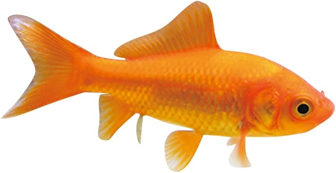 Amazon ジャパンペットコミュニケーションズ 試験研究用魚類 両生類 金魚 小赤 100匹 生体 ジャパンペットコミュニケーションズ 観賞魚 水中生物 通販