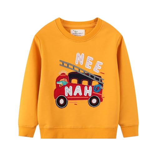 Boys Sweatshirts Casual Sweatshirts Cotton Sweatshirts Long Sleeve T-shirts Crew Neck Cartoon Tops for Boys-631