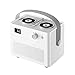 GGQQ Jyly AYD WT-H32 de la Placa giratoria Estilo de Doble Boquilla del rociador 1.3L de Gran Capacidad del Aire humidificador de Vapor de Agua Difusor (Color : White)