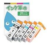 【インク革命】 Canon用 PGI-2 PGI-1BK 互