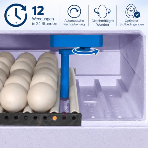 Foto von BRUJA Brutmaschine Modell 3000 Inkubator für Hühner & Enten