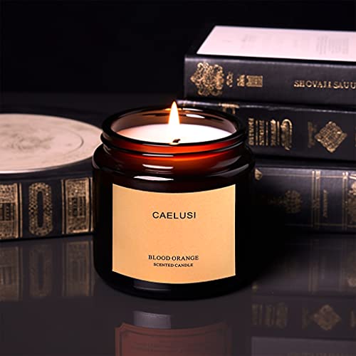 Caelusi Candles For Home Scented Aromatherapy Candles Natural Soy Wax Candles Gifts For Women/Men Premium Candle With Essential Oils Long Lasting Amber Jar Candles(Citrus Sweet Orange 1 Jar 8.5 Oz) #TOP2