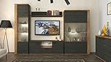  Modern Furniture WOHNWAND 4-TLG Wohnzimmer Schrank NUSSBAUM Darkwood WENGE MATT