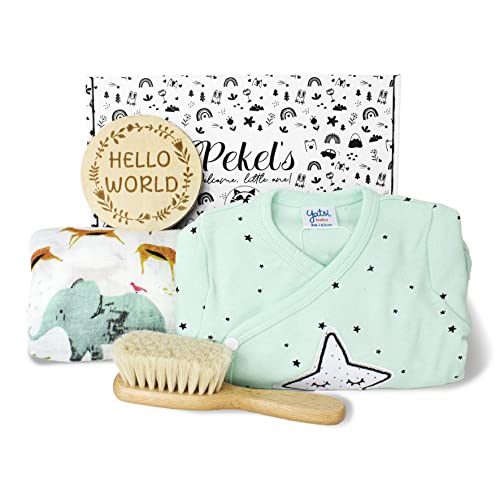 PEKEL'S Canastilla para Bebé Recién Nacido - Caja de Regalo de Bienvenida con Ropa de Algodón, Pañales y Toallitas Biodegradables, Peluche y Más - Vegano, Algodón Hipoalergénico (Menta)