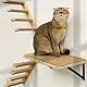 Katzen Kletterwand, Katzenwandmöbel mit Kratzmatte, Wandmontiertes Massivholz Schlafplattform für Klettern/Spielen/Schlafen