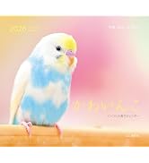カレンダー2026 週めくりカレンダー いんこ日和（週めくり/卓上