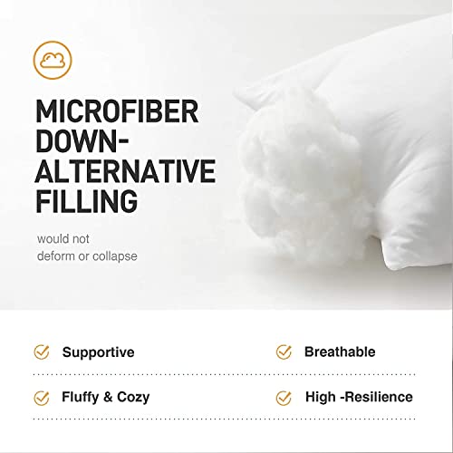 Acanva Decorative Throw Pillow Inserts for Sofa, Bed, Couch and Chair, Square Euro Sham Form Stuffer with Premium Polyester Microfiber, 2 Count (Pack of 1), White