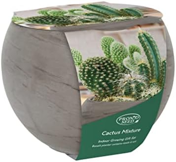 Pronto Seed Mixed Cactus Kit Contains 6 Varieties of Cactus Seeds with Basalt Planter Grow Your Own Cacti Plants Indoors Gardening Gift for Men and Women