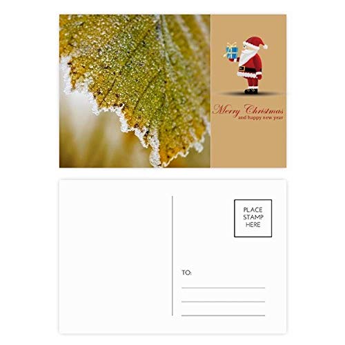 Cartes postales Noël motif feuilles pour sublimer vos tables de fête