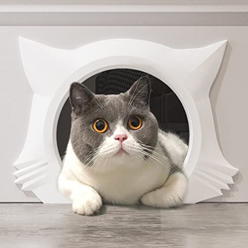 Kitty Door The 15 best products compared Wild Explained