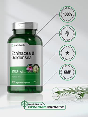 Horbäach CL3274 Echinacea Goldenseal Capsules | 1400Mg | 300 Count | Vegetarian, Non-Gmo, Gluten Free Extract Supplement thumb #4