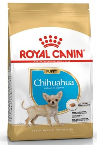 Royal Canin Chihuahua Junior 1,5 kg, 1er Pack (1 x 1.5 kg)