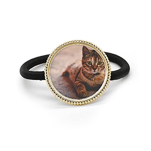Lazo de pelo de plata de metal y tocado de goma para fotografía de gato