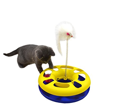 Pets-Empire-Catch-The-Mouse-Motion-Cat-Toy
