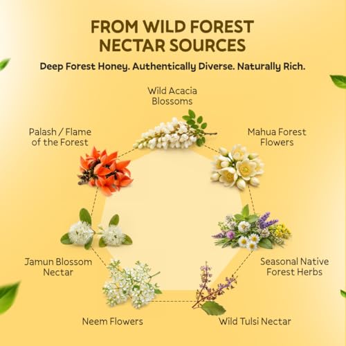 Image of HUMTREE - Wild Forest Honey, Organic Pure- 500gms with FREE Dipper | NMR Tested Honey 100% Pure, No adulteration | Natural Nectar Multi Flora Wild Forest Honey | Rich in B-complex vitamins | Chemical Free, No Sugar Syrup | Sourced from Wild Forests of Himachal