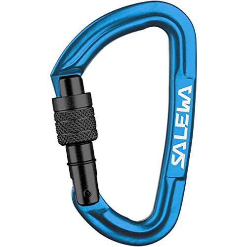 Salewa Hot G3 Screw Carabiner, Blau