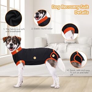 iBuddy 2 Packs Dog Surgical Recovery Suit, Professional Pet Recovery Shirt Dog Abdominal Wounds Bandages for Male Female,Anti Licking Breathable Dog Shirt Size Large iBuddy 2 Packs Dog Surgical Recovery Suit, Professional Pet Recovery Shirt Dog Abdominal Wounds Bandages for Male Female,Anti Licking Breathable Dog Shirt Size Large
