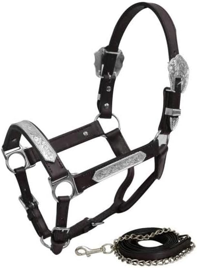 Showman Yearling Size Leather Show Halter w/Engraved Silver Accents