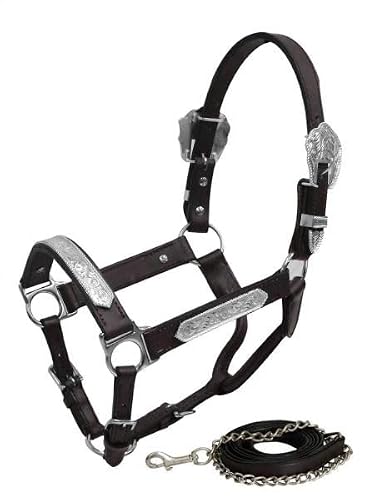 Showman Yearling Size Leather Show Halter w/Engraved Silver Accents