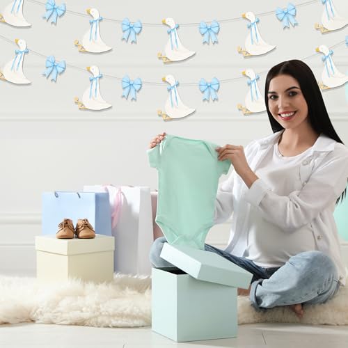 Image of TaoBary 2 Set Blue Bow Silly Goose Birthday Banner Silly Goose Party Decoration for Farm Animal Baby Shower Birthday Party Decorations