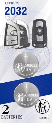 Amazon.com: Pinochi Key Fob Battery Replacement for BMW 1-9 Series X1 ...