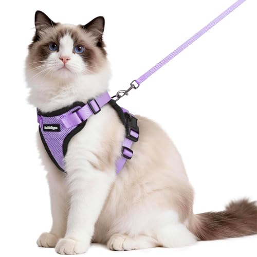 Image of rabbitgoo Cat Harness and Leash Set, Escape Proof Vest, Light Purple | Soft Breathable Mesh, Easy Adjustable Fit, Snap Buckles, Sturdy Clip, Reflective Strips, for Medium to Large Cats Walks, M