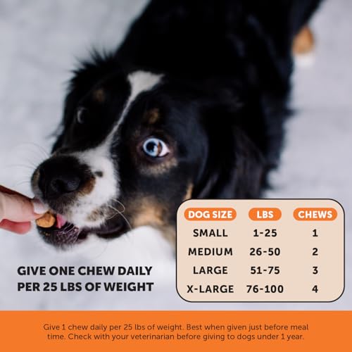 Image of 11-in-1 Advanced Hip + Joint Supplement for Dogs - Mobility Support with Glucosamine Chondroitin, Turmeric, & Green Lipped Mussel, MSM - Soothes Joint Stiffness & May Reduce Discomfort (Bacon, 90 Ct)