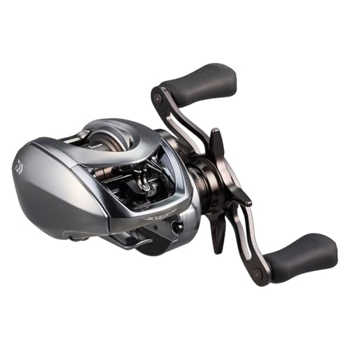 ダイワ(DAIWA) ベイトリール スティーズリミテッド CT SV TW 70XHL 2枚目